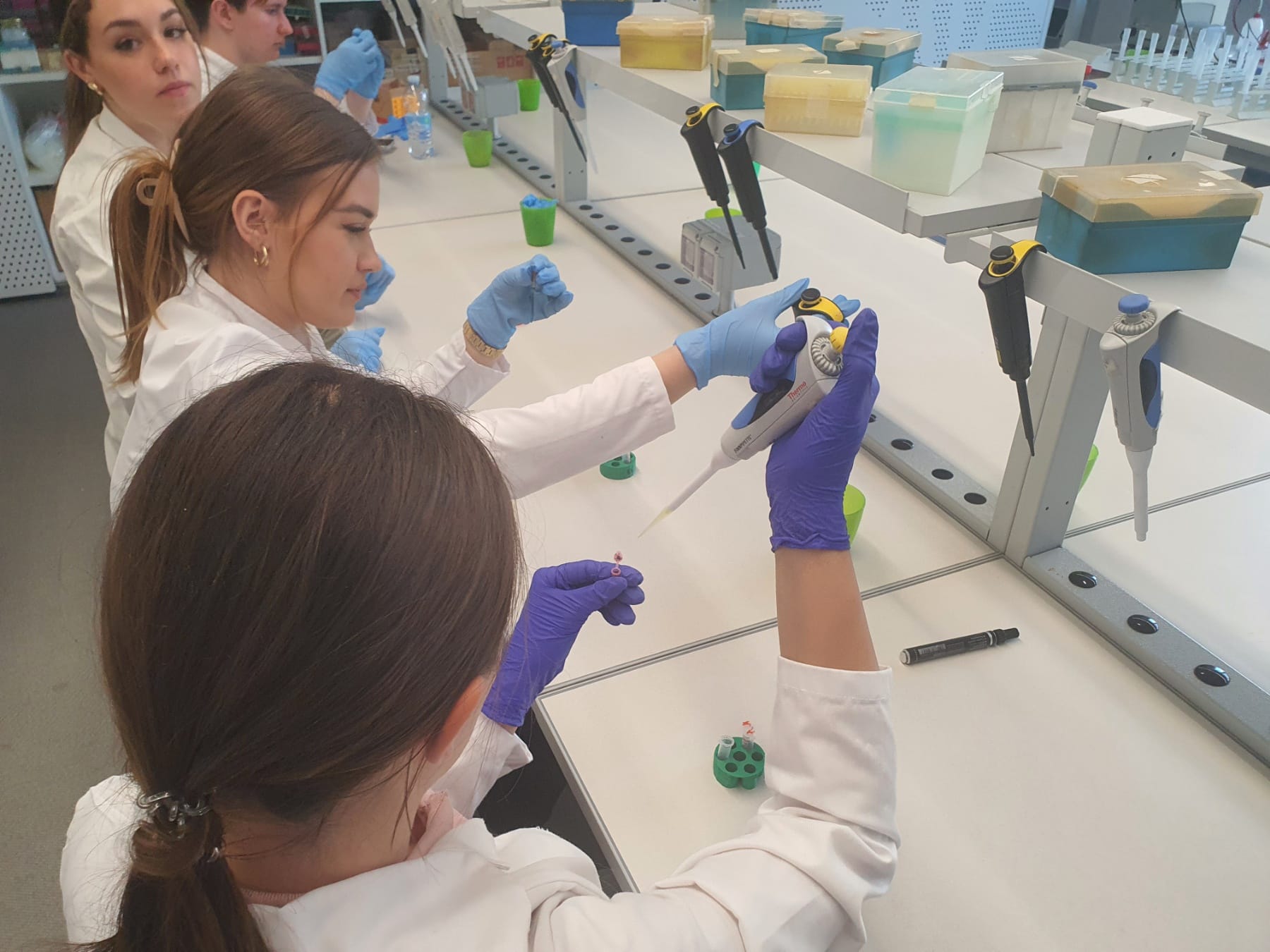 Кроз усавршавања ка новој школи