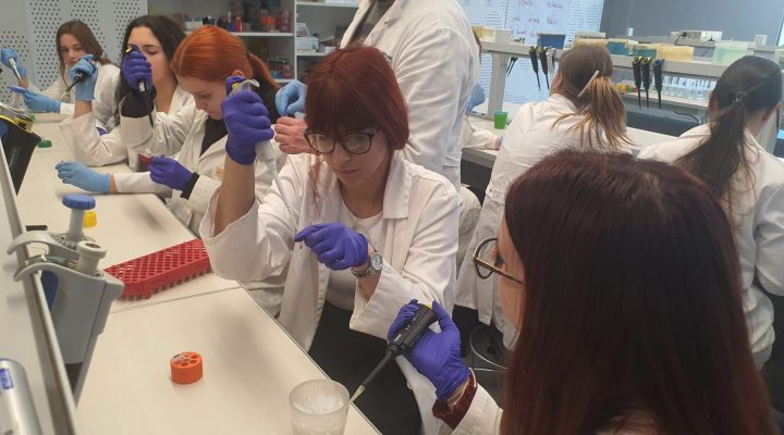 Кроз усавршавања ка новој школи