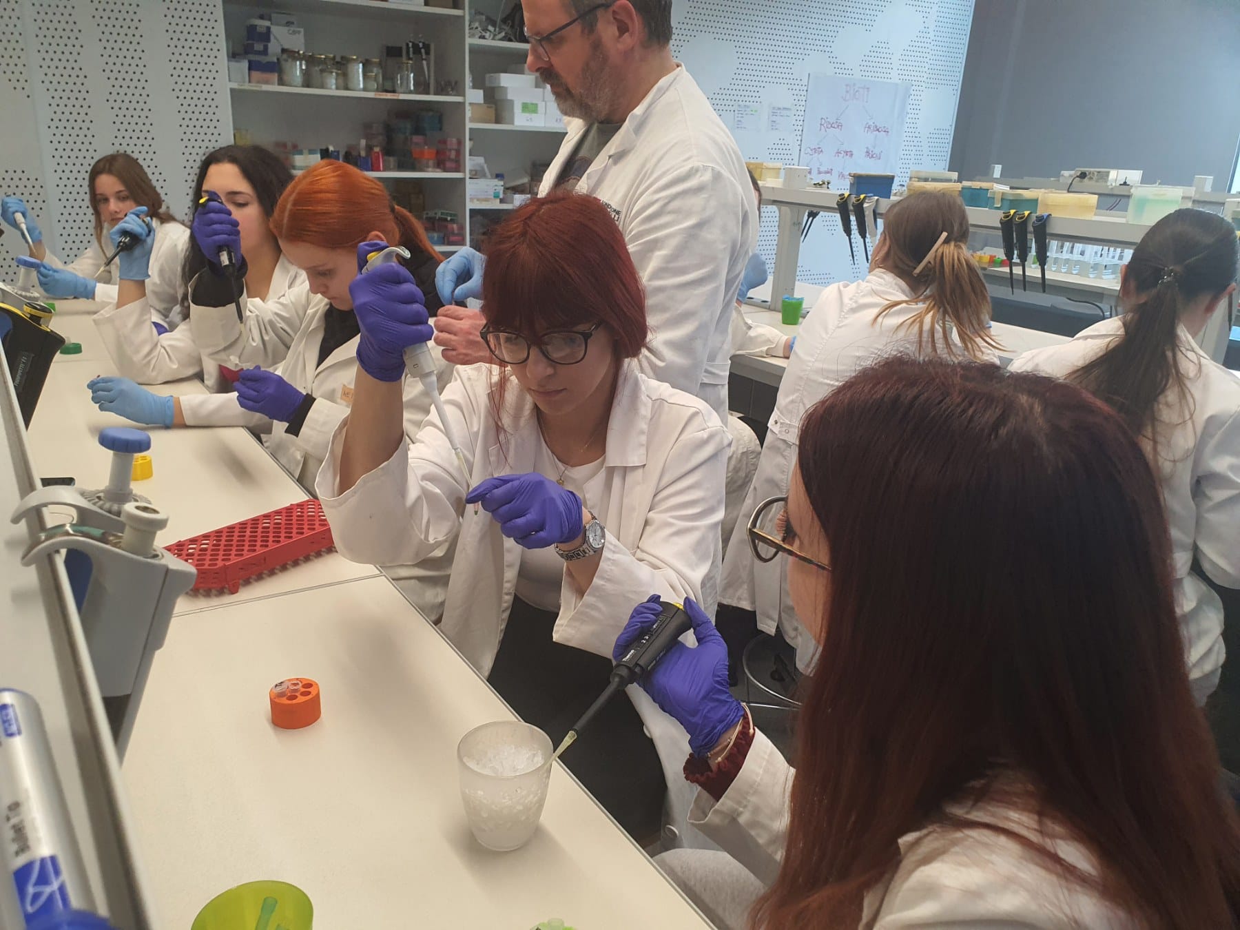 Кроз усавршавања ка новој школи